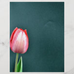 Tulipanes rojos contra fondo oscuro tarjetones