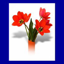 Tulipanes rojos en florero posters