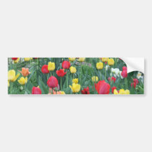 Tulipanes rojos, primavera amarilla, anaranjada, f etiqueta de parachoque