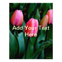 Tulipanes rosados anuncio