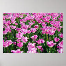 Tulipanes rosados con volantes poster