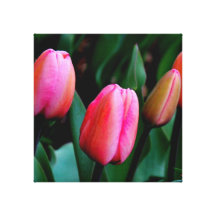 Tulipanes rosados impresión de lienzo