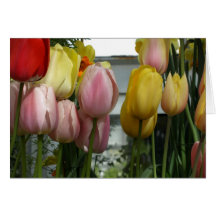 Tulipanes rosados y amarillos tarjeta