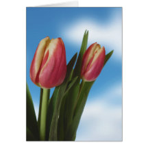 Tulipanes rosados y poner crema/cielo azul - Perso Felicitaciones