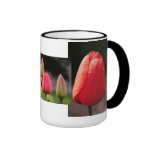 Tulipanes Taza De Café