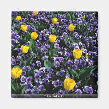Tulipanes y violas iman para frigorífico