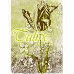 Tulipe Esculturas Fotograficas