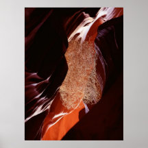 tumbleweed poster