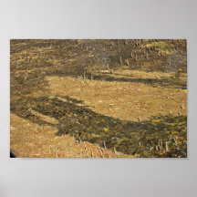 Tundra nacional de la reserva de Kanuti y quemado Poster