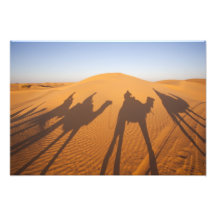 Túnez, área de Ksour, Ksar Ghilane, ergio magnífic Arte Fotográfico