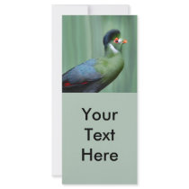 Turaco Blanco-Cheeked