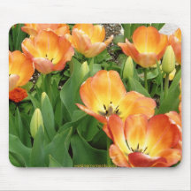 Turco del ala de los tulipanes alfombrilla de ratones