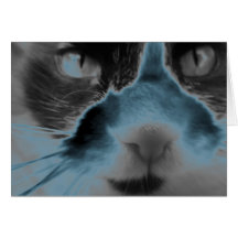 Turquesa de neón del gato tarjetón
