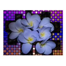 tWeave del Plumeria de Stardus del claro de luna Tarjetas Postales