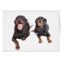 two rottweilers, tarjeton