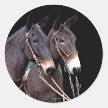 Twosome de la mula pegatina