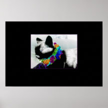 ty poster