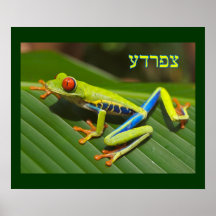 Tzefardea en el significado hebreo "rana " posters