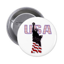 U.S.A. Botón Pins