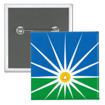 Uberlandia Minasgerais bandera del Brasil, el Bras Pins