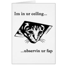 Ubservin u del gato del techo… felicitacion 