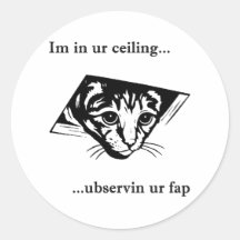 Ubservin u del gato del techo… pegatinas  