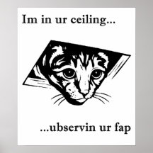 Ubservin u del gato del techo… impresiones