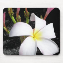 Últimos bombachos Mousepad Alfombrilla De Ratón