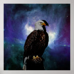 Un águila en el espejo poster