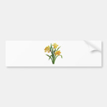 Un anfitrión de oro de narcisos bordados pegatina de parachoque