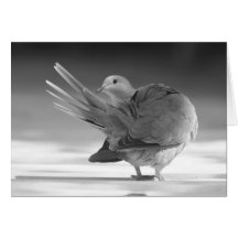 Un ángel en la tarjeta del cielo I