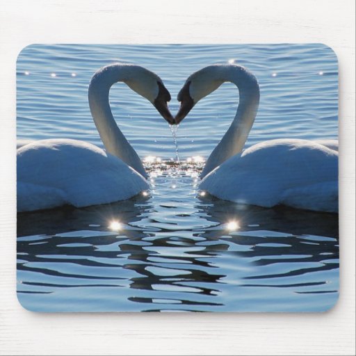 Un beso del corazón del cisne, reflexiones del amo tapetes de raton