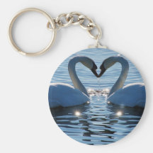 Un beso del corazón del cisne, reflexiones del amo llaveros