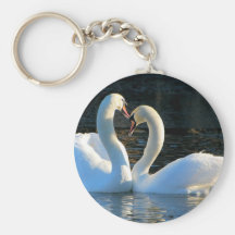 Un beso del corazón del cisne, reflexiones del amo llaveros