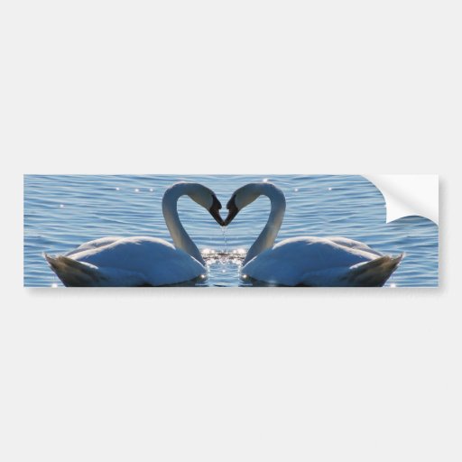 Un beso del corazón del cisne, reflexiones del amo etiqueta de parachoque
