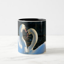 Un beso del corazón del cisne, reflexiones del amo tazas de café