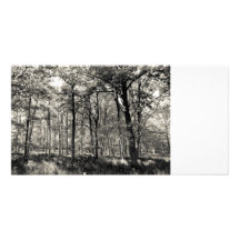 Un bosque inglés tarjeta personal
