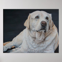 Un buen perro posters