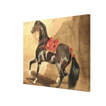 Un caballo árabe (w/c colocado en el papel) impresión en lona
