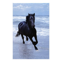 Un caballo salvaje y libre papelería de diseño