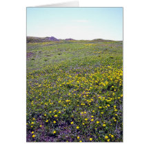 Un campo de la tarjeta de felicitación de los dien