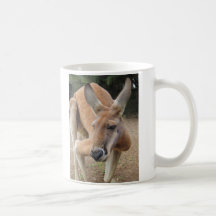 Un canguro tímido tazas