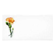 Un clavel amarillo Rojo-Inclinado Tarjeta Con Foto Personalizada
