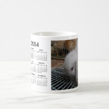Un conejo en un calendario 2554 del vestido 2011 tazas