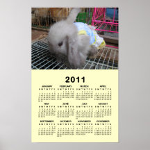 Un conejo en un calendario del vestido 2011 posters