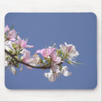 Un día perfecto - el rosa blanco florece Mousepad alfombrillas de raton 