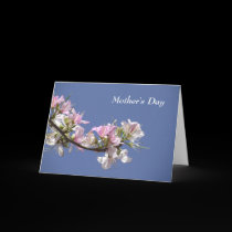 Un día perfecto - tarjeta del día de madre tarjetas
