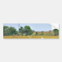 Un Egret que monta una vaca Pegatina De Parachoque