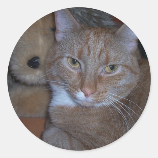 Un gato pensativo pegatina redonda
