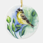 Un Goldfinch, hembra, lápiz de la acuarela Ornatos